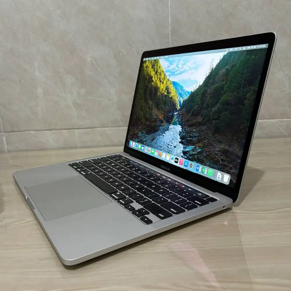 Apple Macbook Pro Retina Touchbar 2020 16/256 Mulus SilverLight