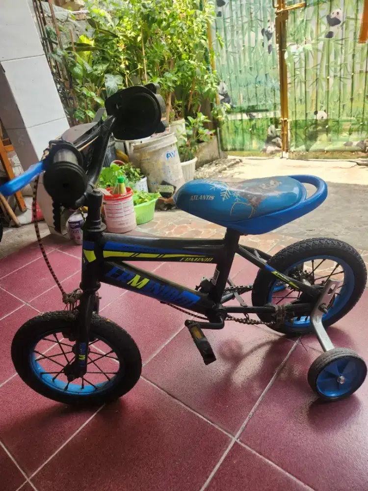 Sepeda anak size 12