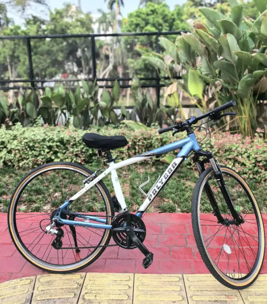 Polygon Vintage Hybrid 700C