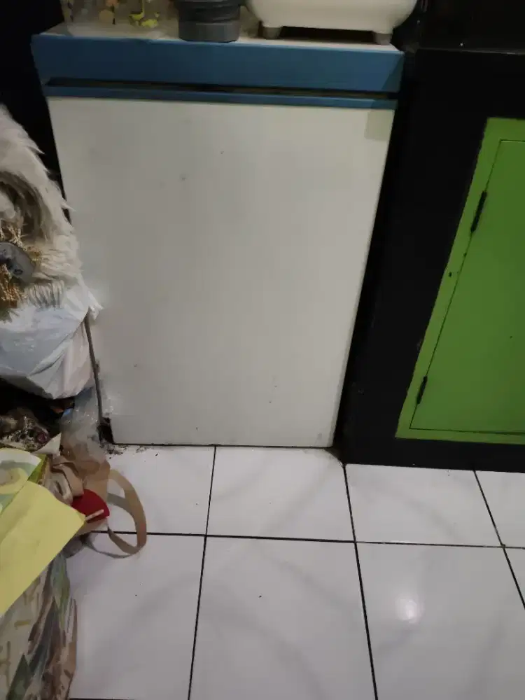Freezer Changhong 100L