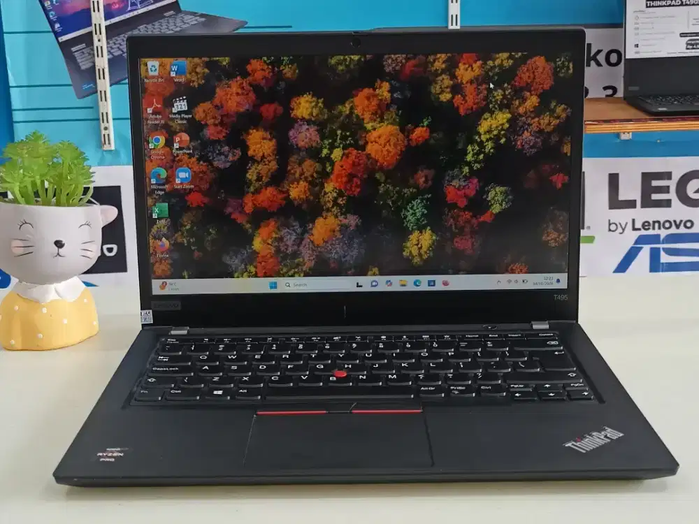 Laptop bekas Lenovo Thinkpad T495 Ryzen 5 Pro Ram 8 GB