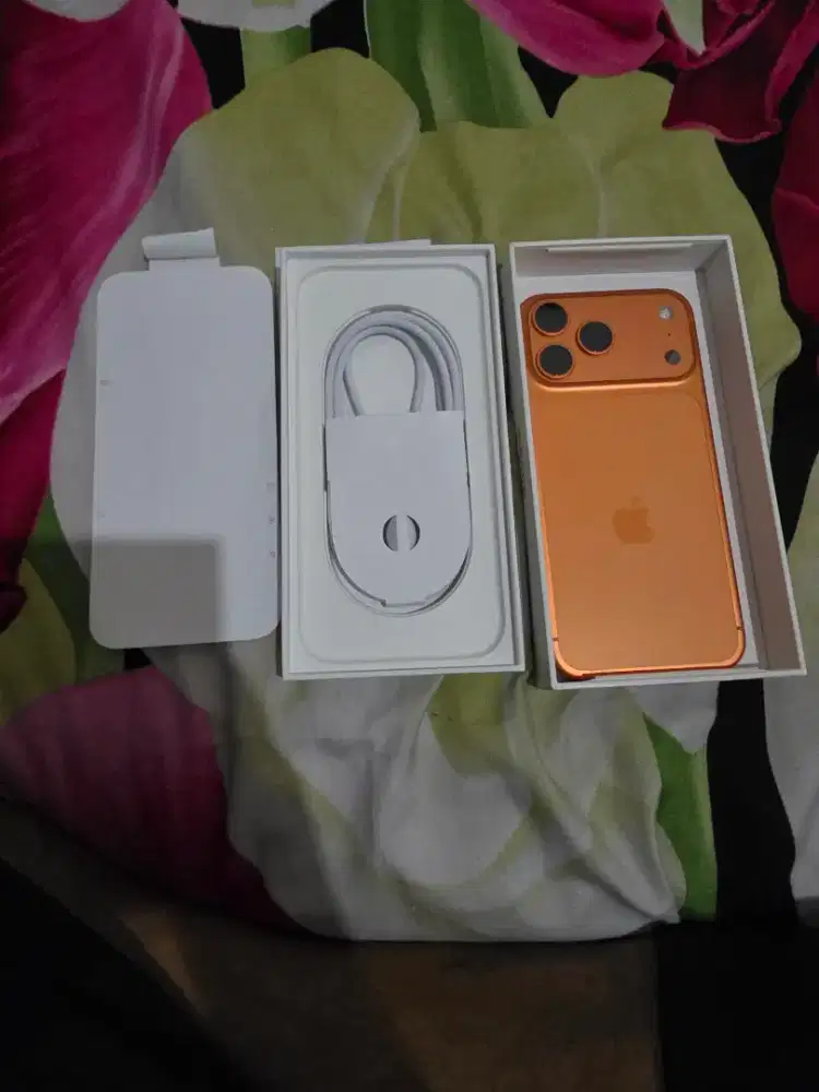 Iphone 17 Promax 256 Gb Orange ex Ibox