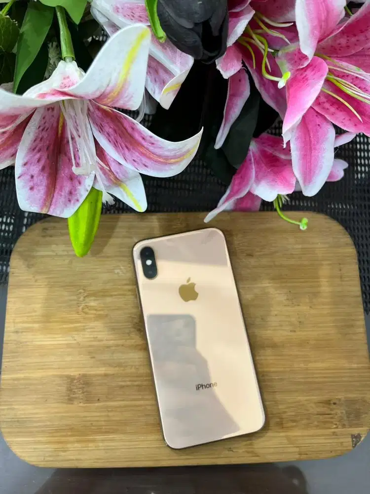 IPHONE XS 64GB INTER ALL OP