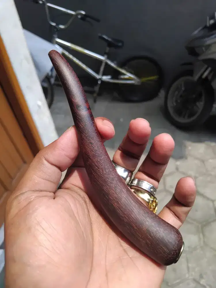 Once kayu gali asam