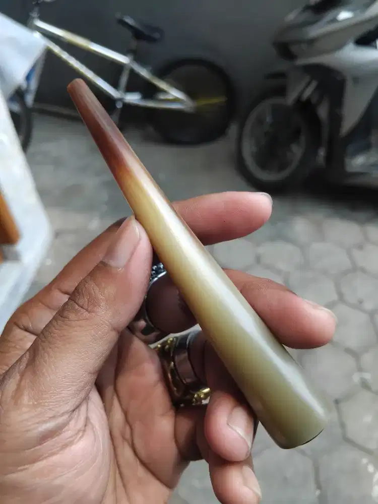 Once tanduk 3 warna