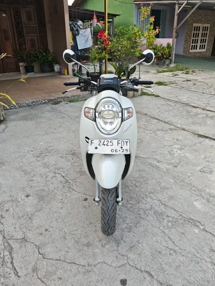 •Big Sale Scoopy Stylish 110cc 2019