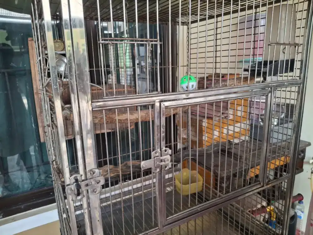 Kandang burung parrot, bahan stainles