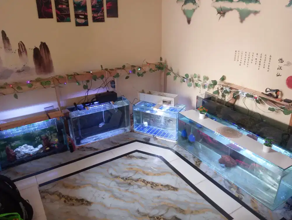 Aquarium atau Akuarium
