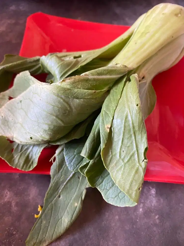 Sayur Sawi Toping Seblak