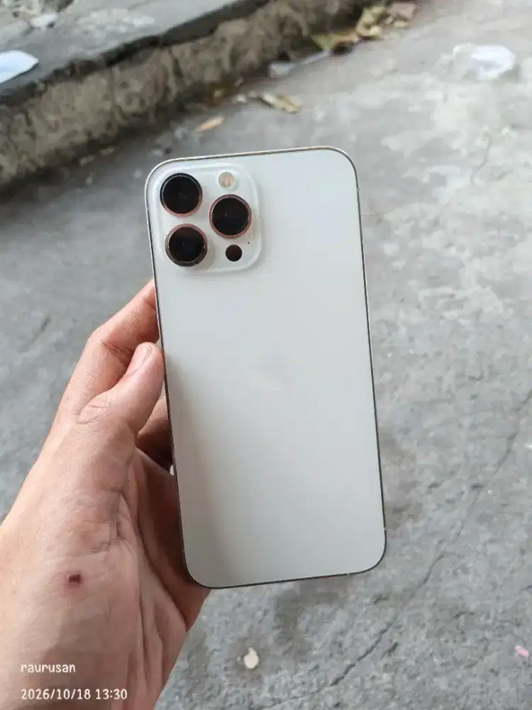 iPhone 13 Pro Max 512GB Beacukai