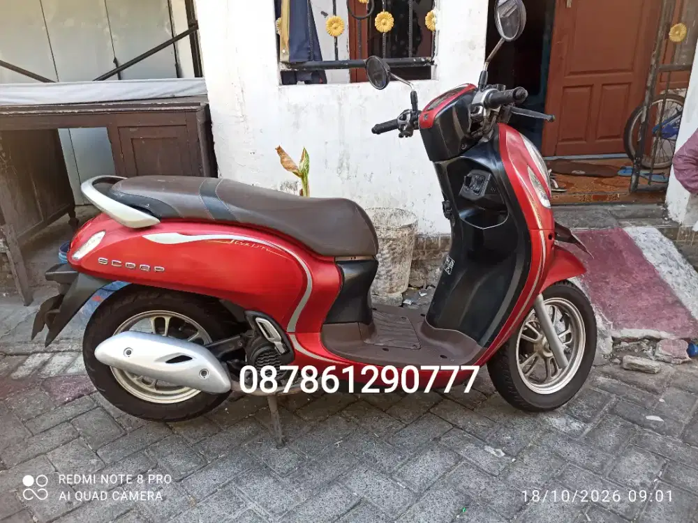 Scoopy 2022 stylish