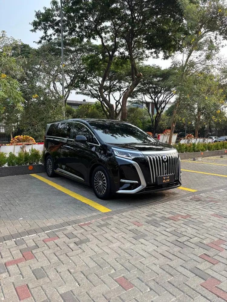 Denza D9 EV 2025 Low Odo Service Record