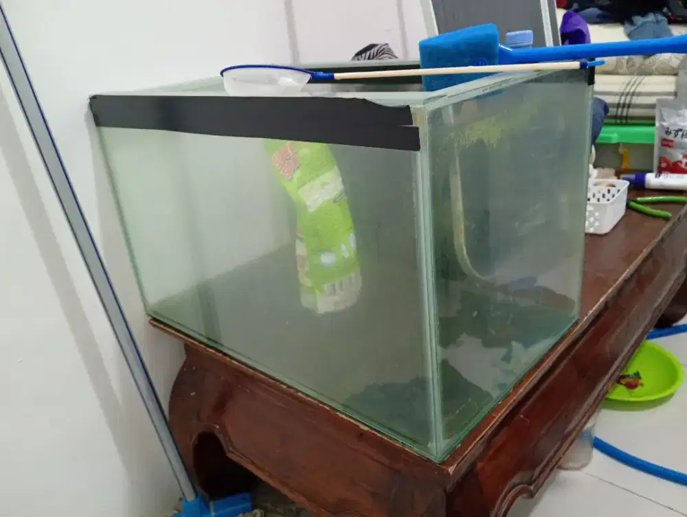 Aquarium IKAN 50CM