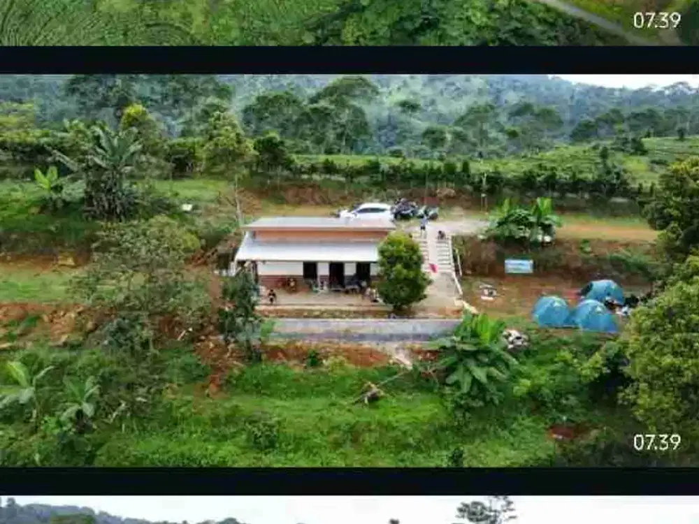 villa berikut isi dalam plus kebun durian luas umrah