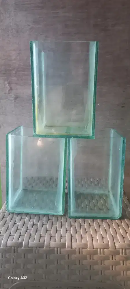 Aquarium ikan Cupang