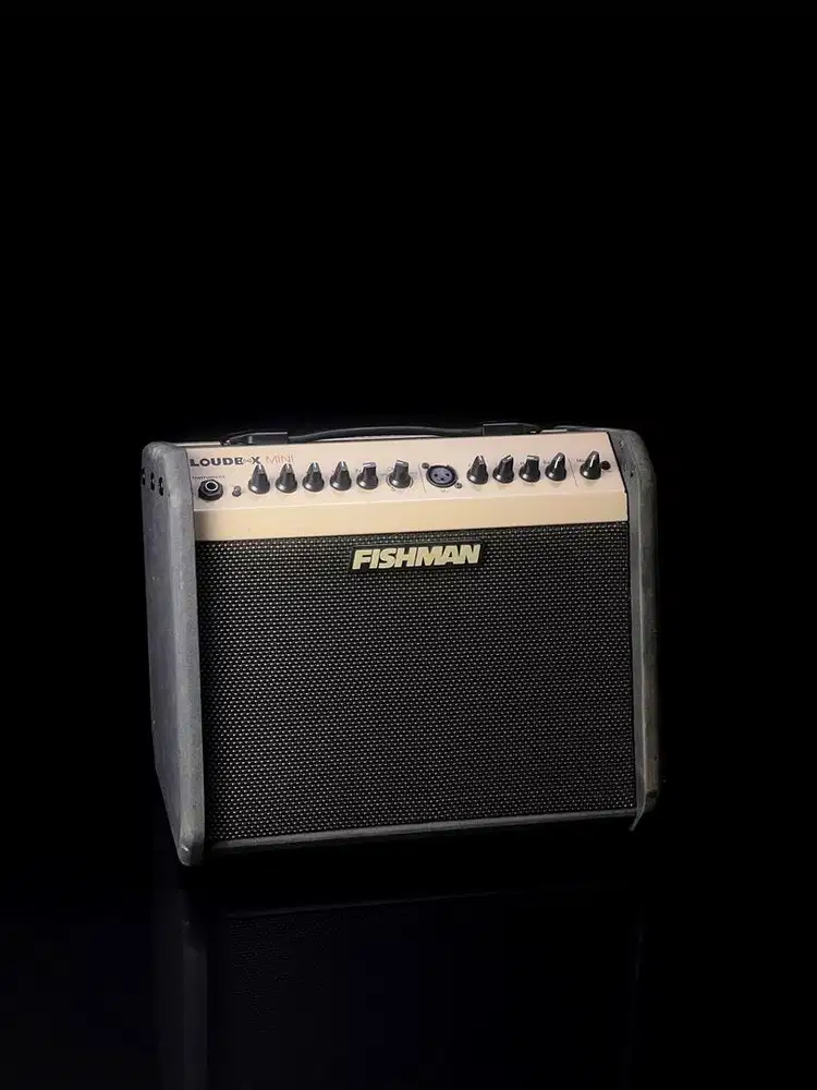 Fishman LoudBox MINI