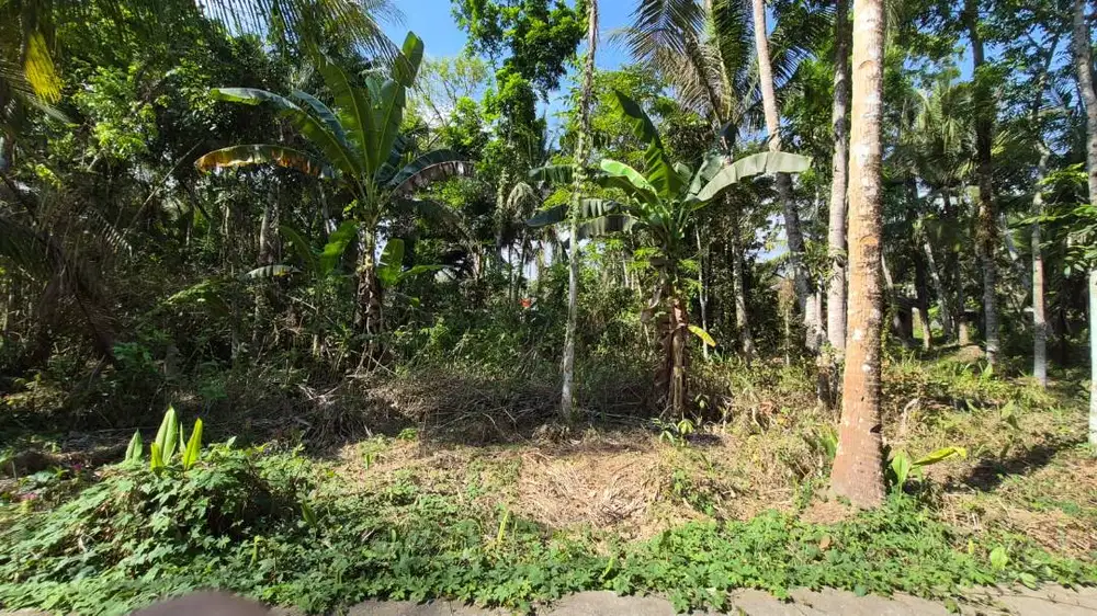 Tanah Pekarangan SHM 223m² di Kalidengen Temon, 6 Menit ke bandara YIA