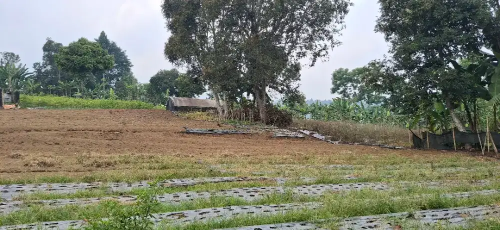 Dijual tanah deket wisata EIGER megamendung puncak