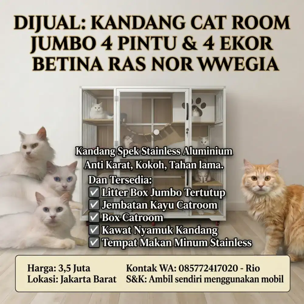 Kucing & Kandang Catroom Jumbo