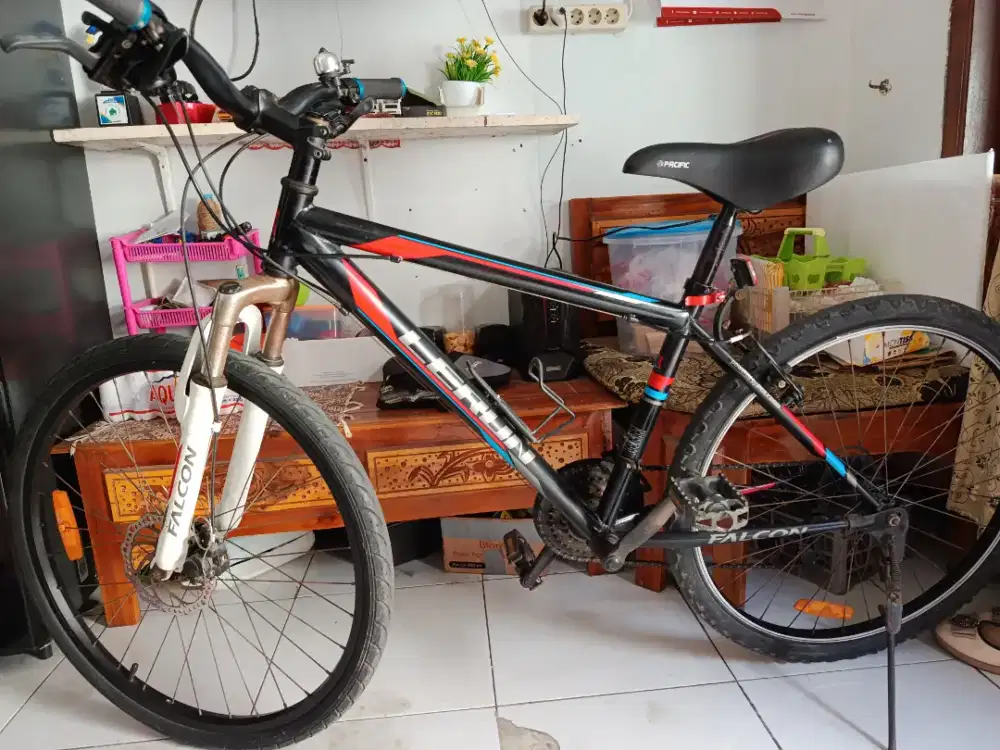 Sepeda MTB Polygon Lerun UK 26