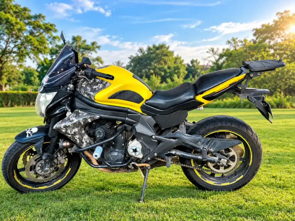 Kawasaki ER6 650cc 2019