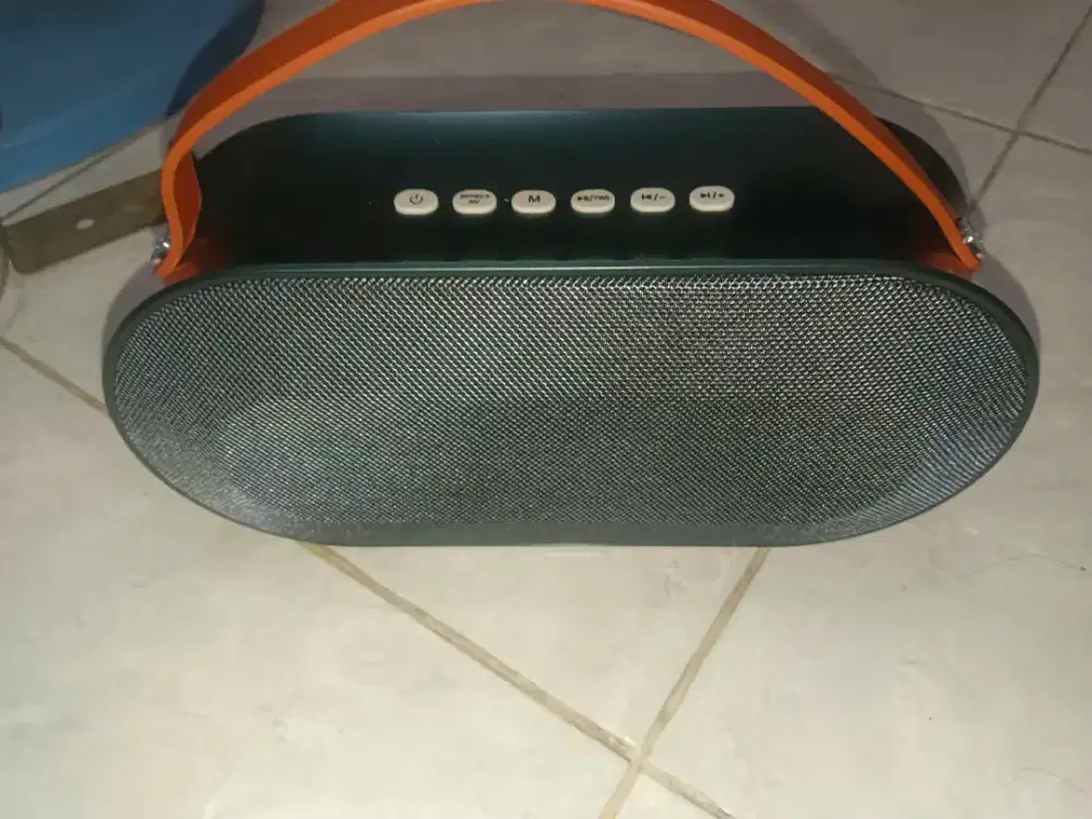 Wireless Karaoke Speaker + Mic Wireless
