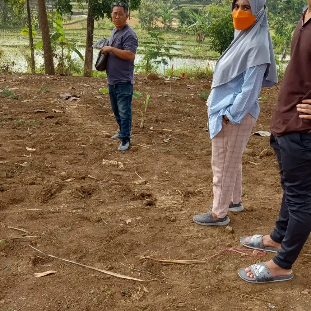 Jasa Galian Pondasi Galian Septitang