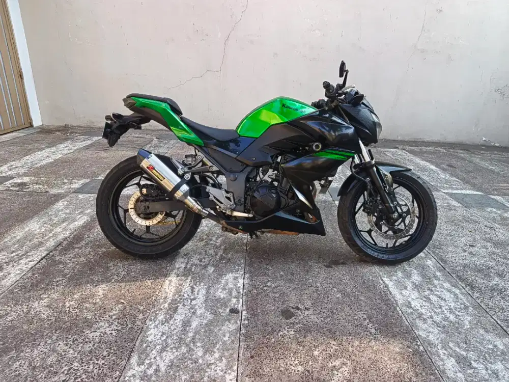 Kawasaki Z250 / Z 250 tahun 2014
