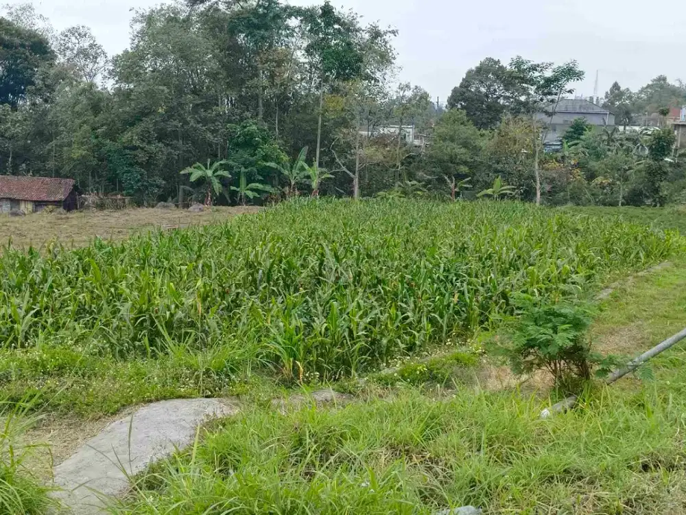 TANAH LOKASI ISTIMEWA