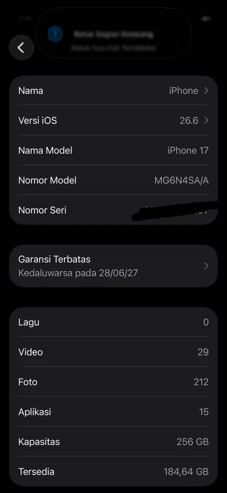 IP 17 BASIC HIJAU SAGE