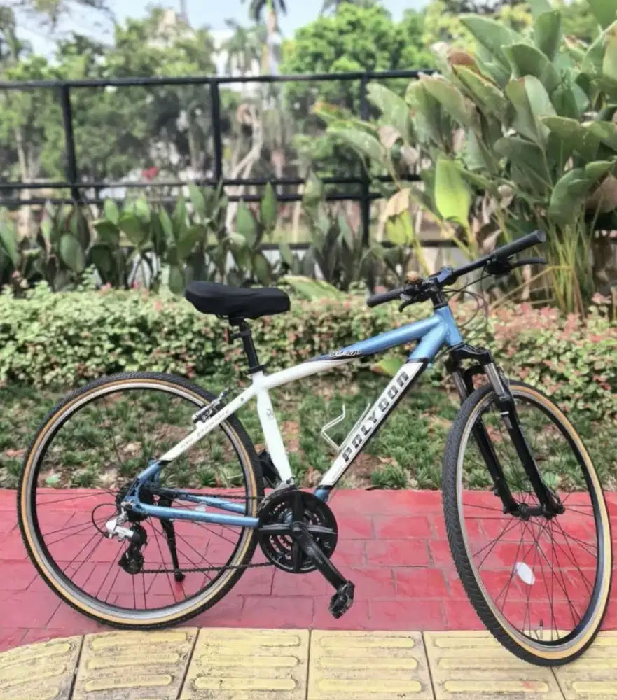 Polygon Vintage Hybrid 700C