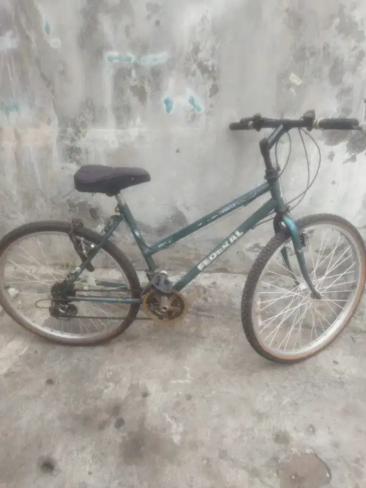 Dijual sepeda federal wim cycle 2000 bonus sepeda anak2