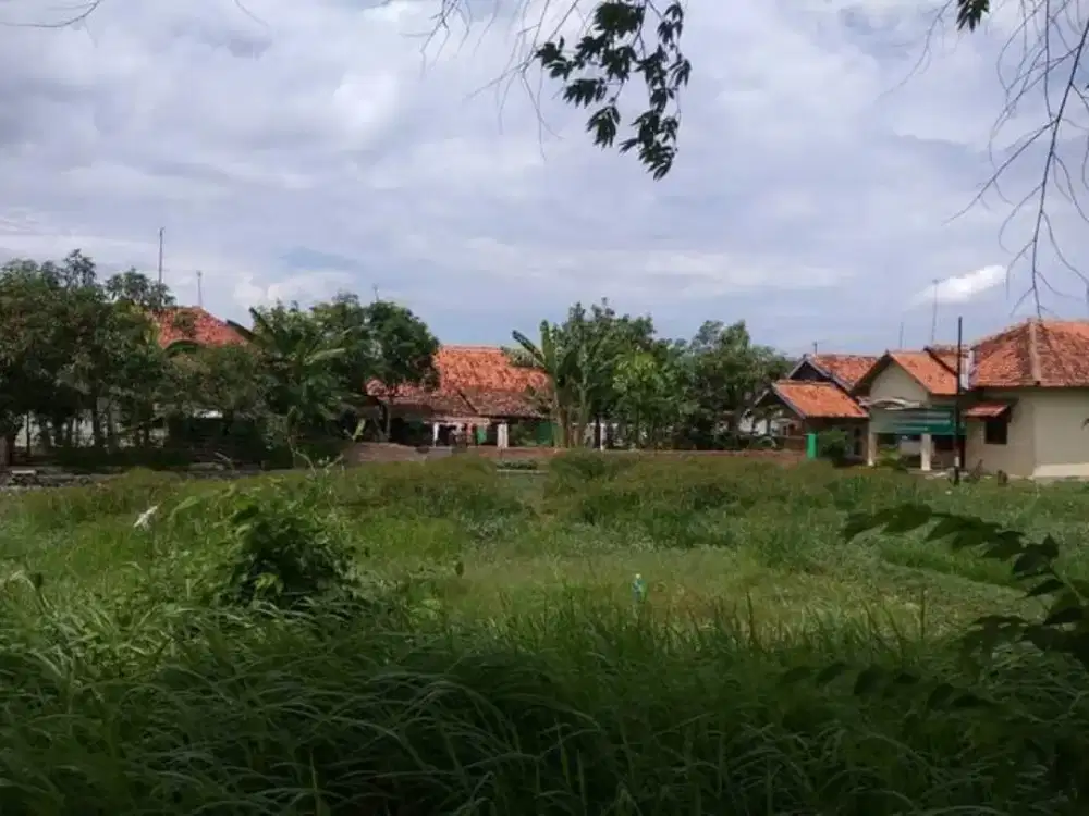 Di Jual Tanah [LOSARI, BREBES] belakang Perum Qonita