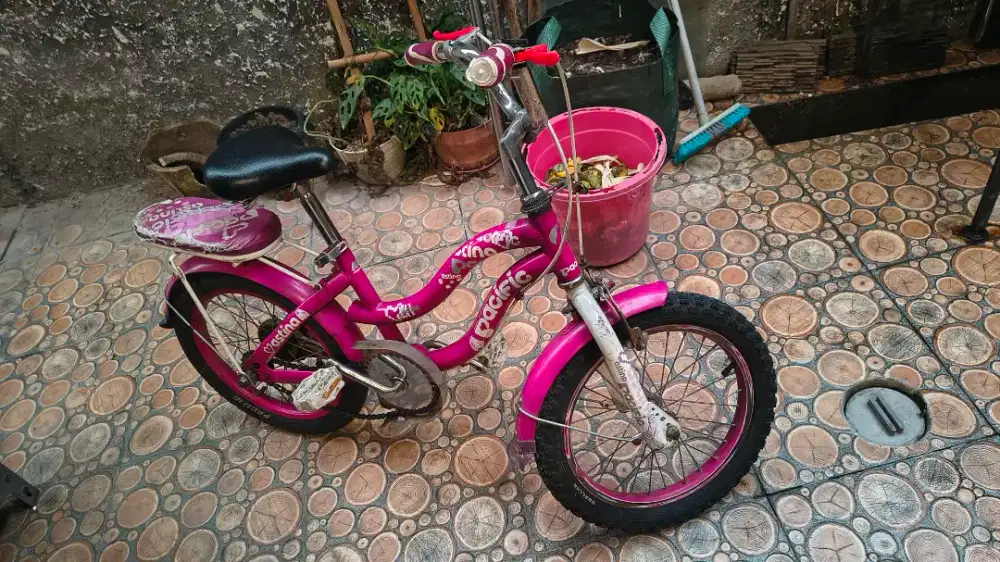 Dijual sepeda anak cewe pacific