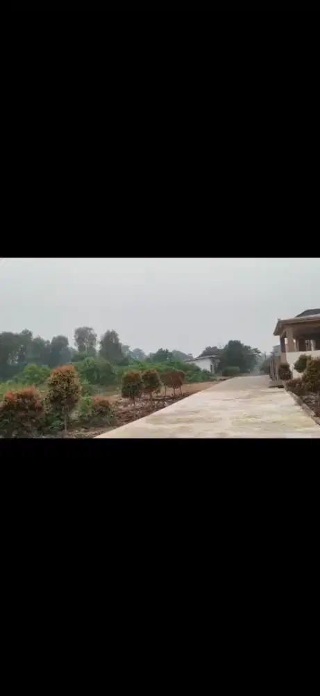 Tanah kavling jalan perdana ukuran 20 x 20