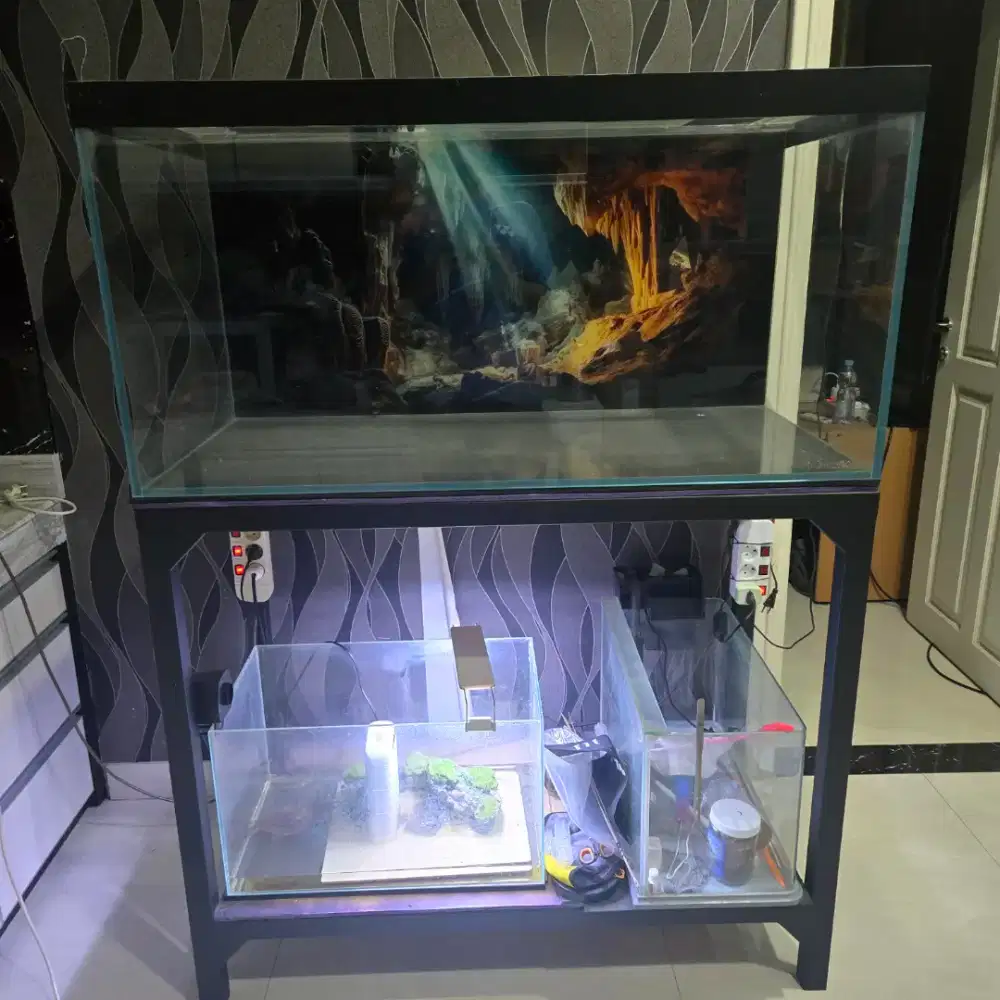 Aquarium 120 cm bonus 2 Aquarium 60 cm