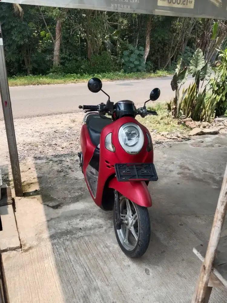 Scupy 2021 mulus