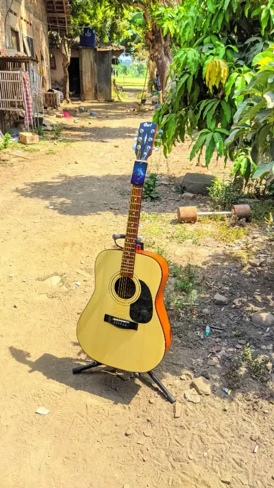Gitar Akustik Cort AD810 High Quality Baru