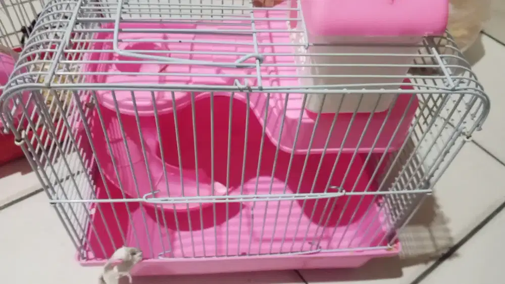 Kandang hamster