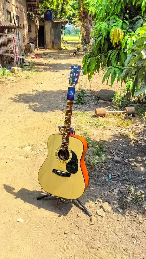 Gitar Akustik Cort AD810 High Quality Baru