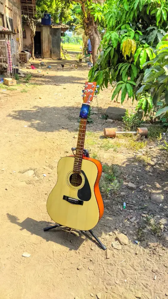 Gitar Akustik Yamaha F310 High Quality Baru