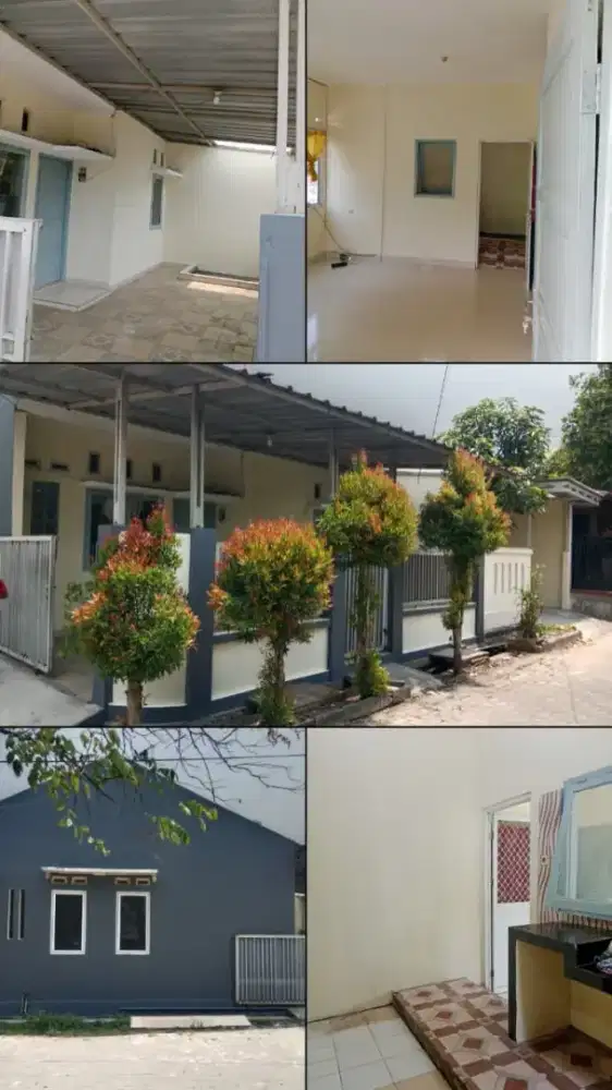 Dikontrakan Grand Sutera Rajeg