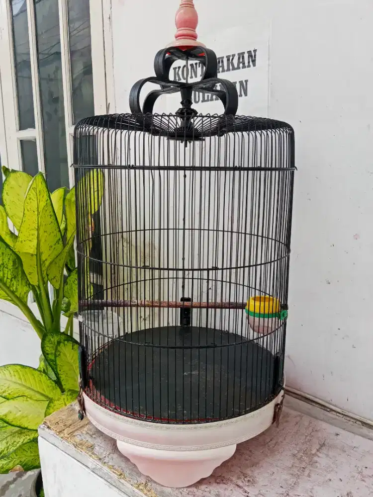 Kandang love bird jumbo size 42