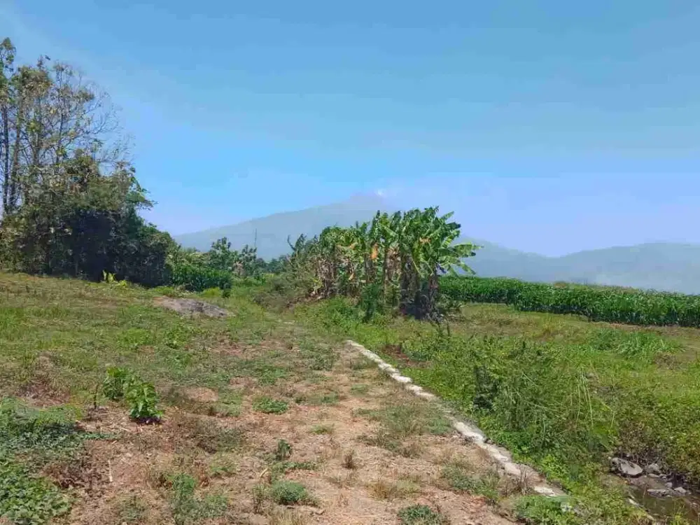 Tanah Pekarangan Murah siap Bangun di Dlanggu, Mojokerto