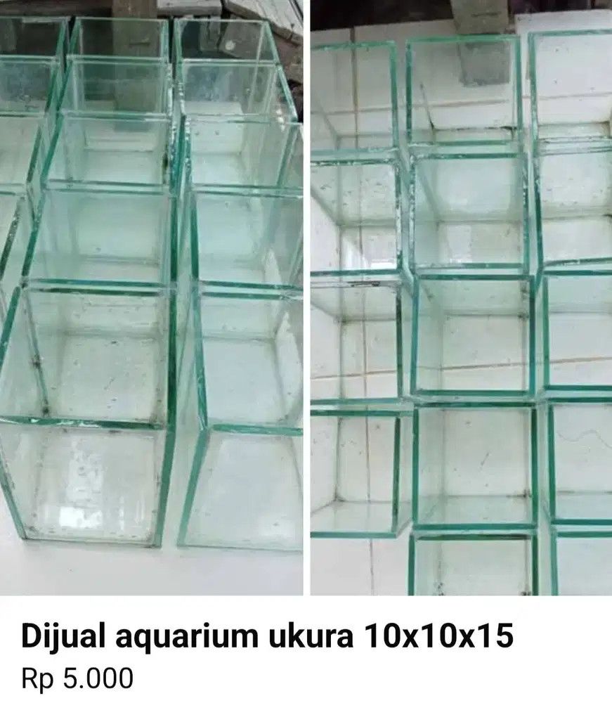 Jual aquarium ukuran 10x10x15