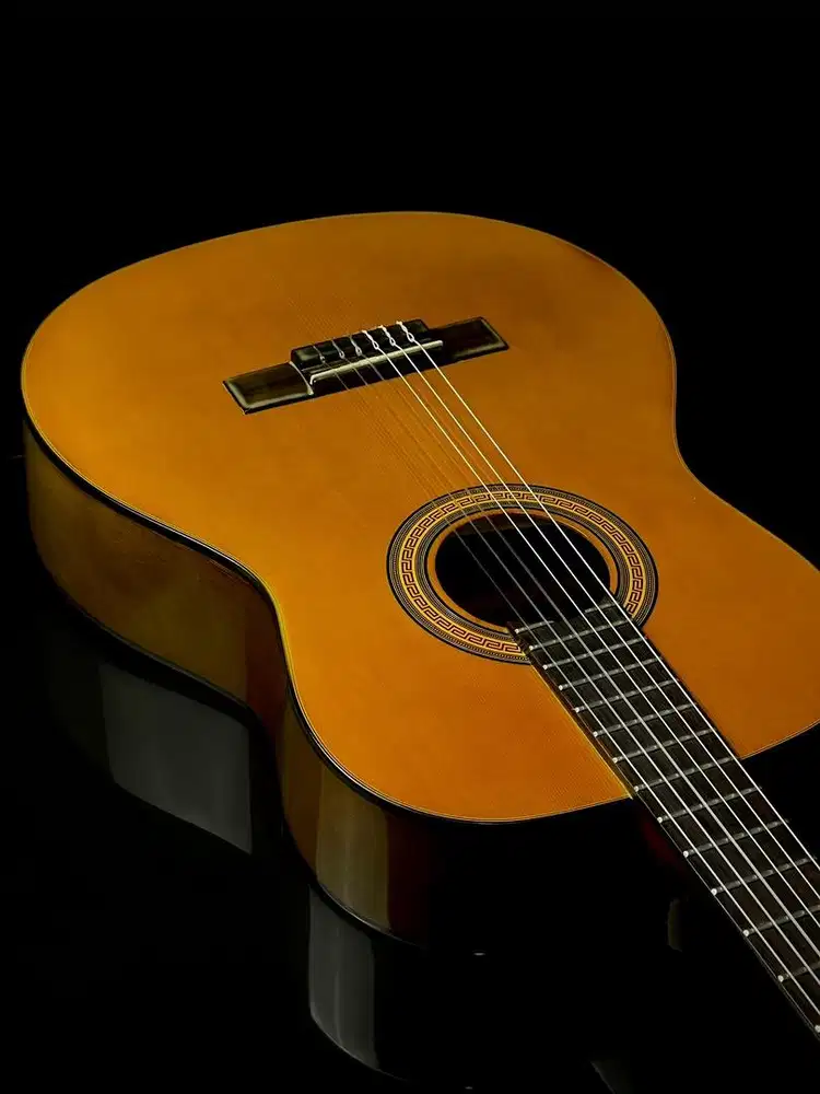 Epiphone Pro 1 Classic