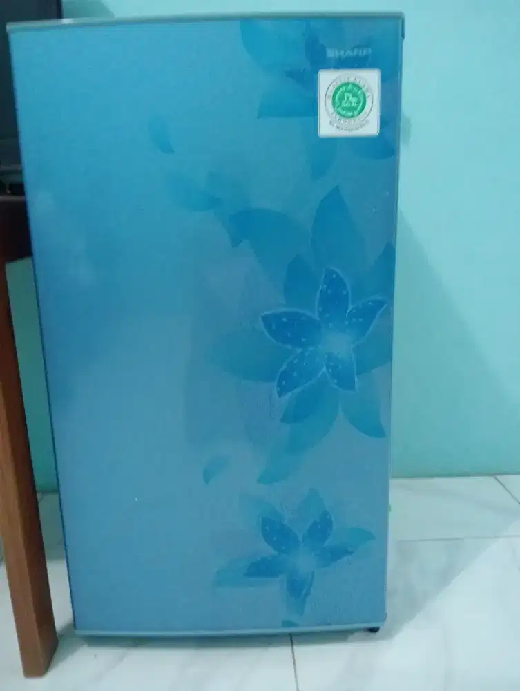 Kulkas keluarga masih bagus warna terang