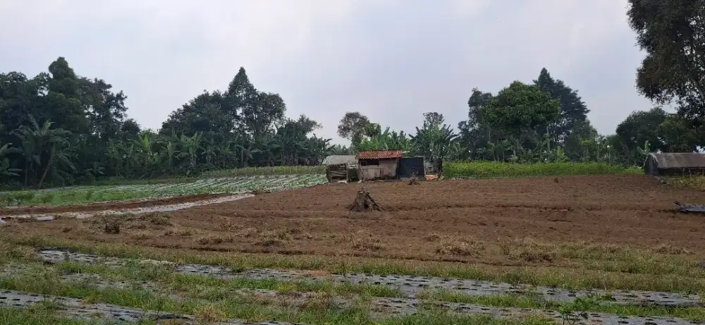 Dijual tanah di sukagalih hills deket wisata EIGER