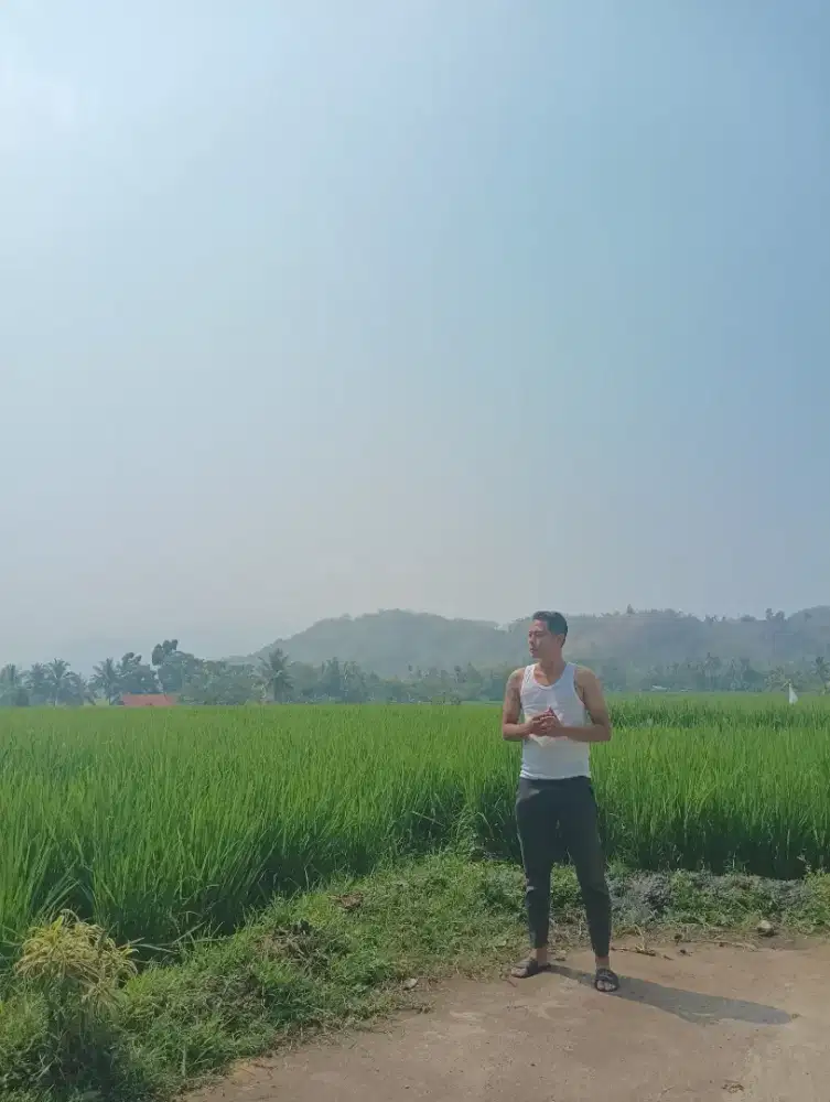 Rental mobil,driver dalam dan luar kota