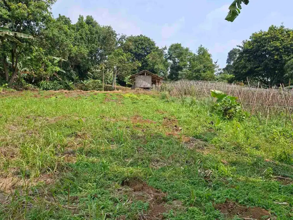 DI JUAL TANAH DARAT SANGAT COCOK UNTUK PERTANIAN PERKEBUNAN DAN PETERNAKAN AYAM PETELUR.LOKASI DATAR VIEW GUNUNG .AKES JLN MOBIL SAMPAI KE LOKASI
